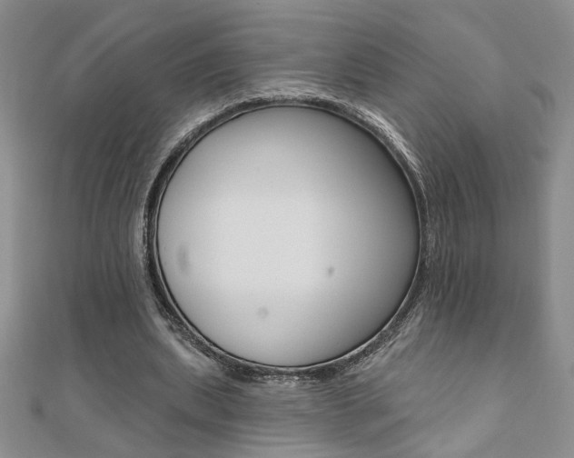 X0000110680439200906121038