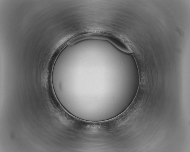 X0000110680440200906121038