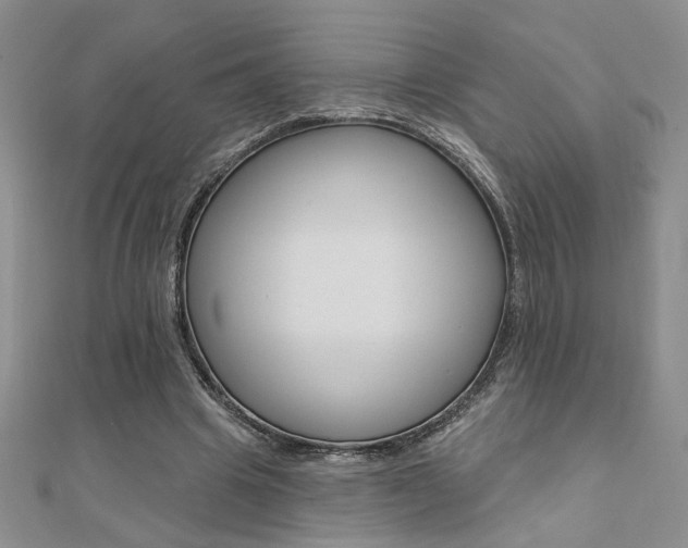 X0000110680441200906121038