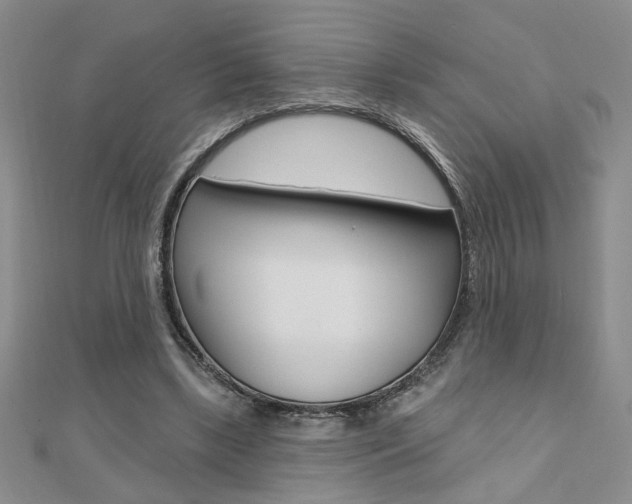 X0000110680443200906121038