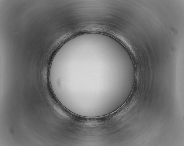 X0000110680445200906121038