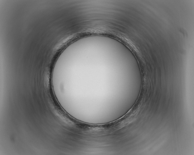 X0000110680446200906121038