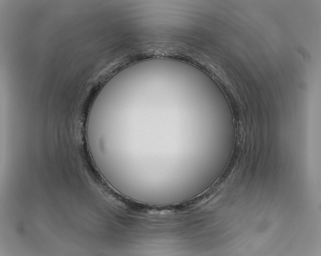 X0000110680450200906121038