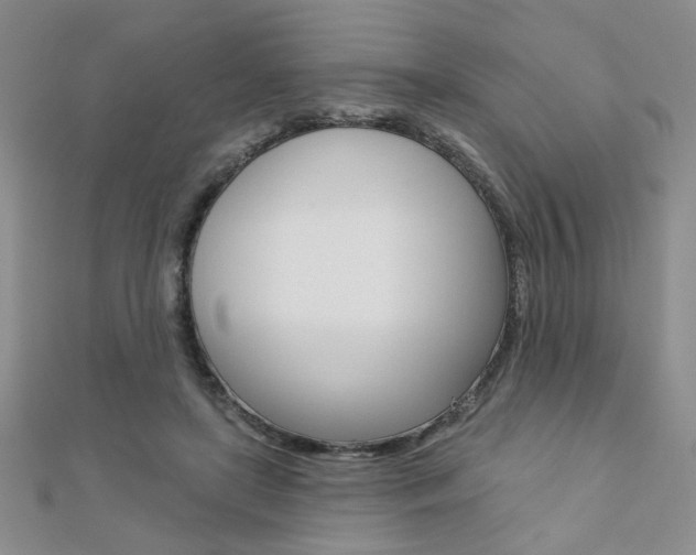 X0000110680451200906121038