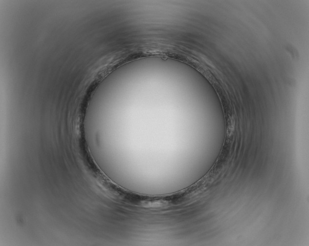 X0000110680452200906121038