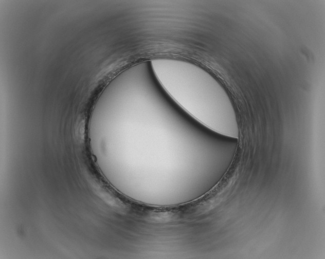 X0000110680454200906121038