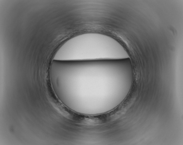X0000110680455200906121038