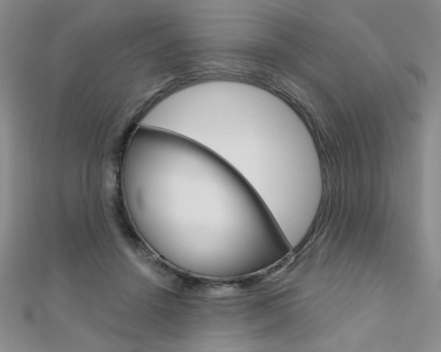 X0000110680456200906121038
