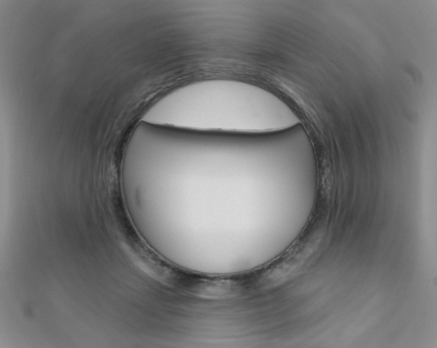 X0000110680459200906121038