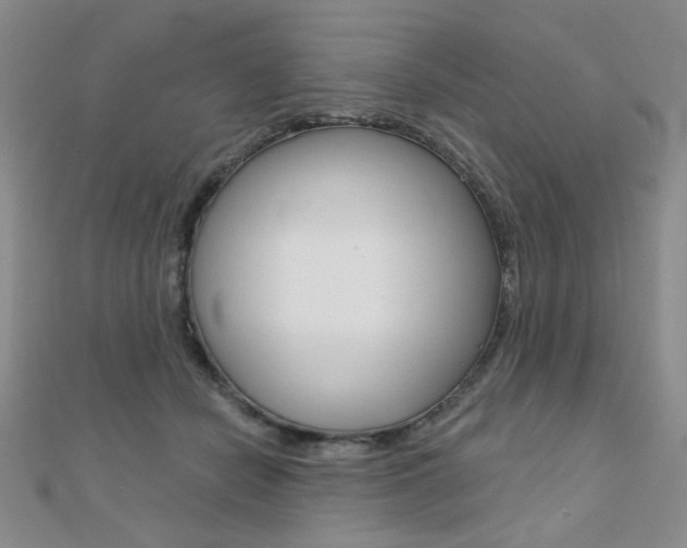 X0000110680462200906121038