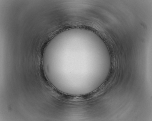 X0000110680463200906121038