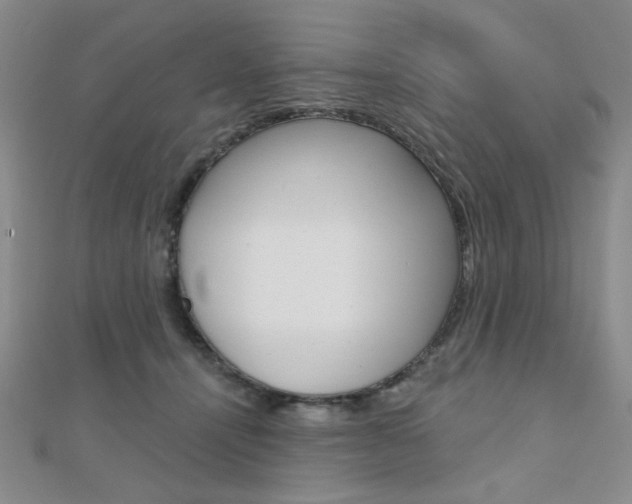 X0000110680464200906121038