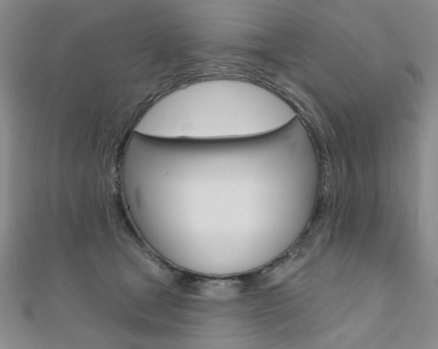 X0000110680465200906121038