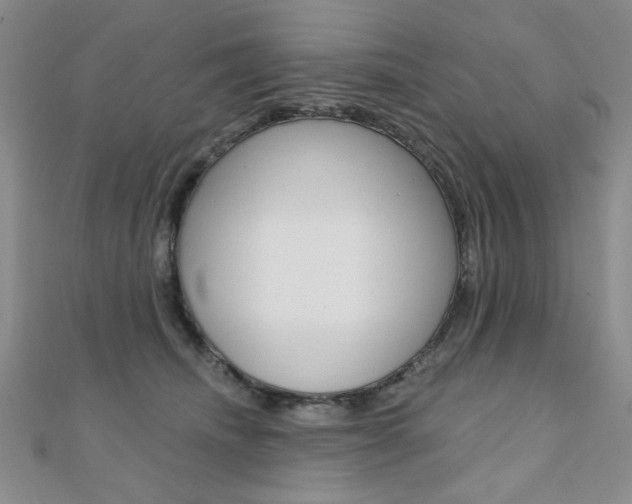 X0000110680468200906121038
