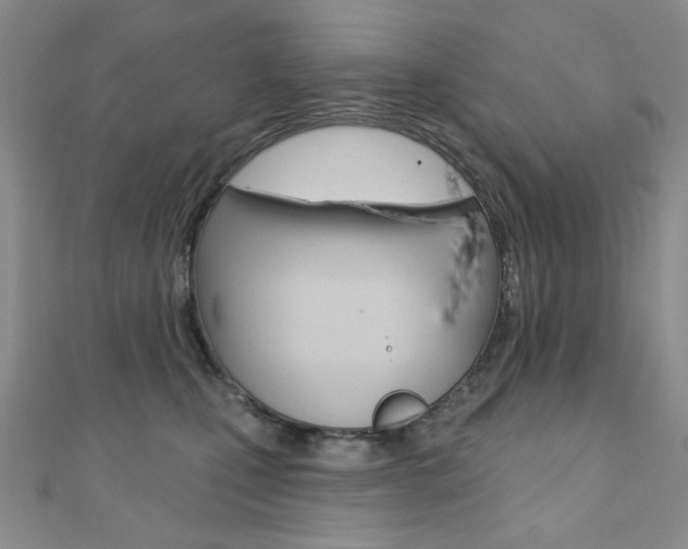 X0000110680471200906121038