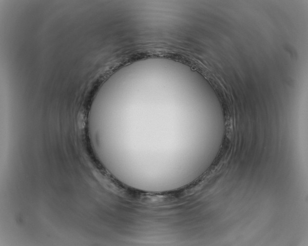 X0000110680472200906121039