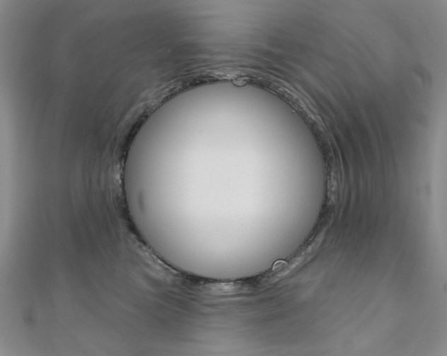 X0000110680473200906121039