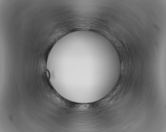 X0000110680474200906121039