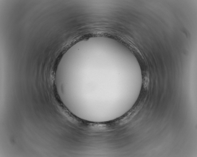 X0000110680476200906121039