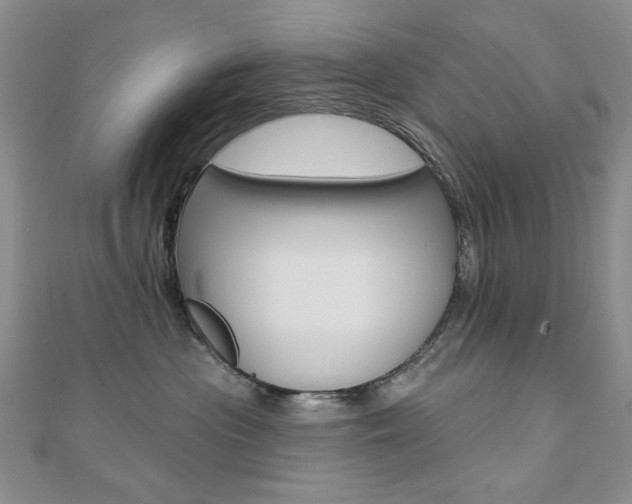 X0000110680477200906121039