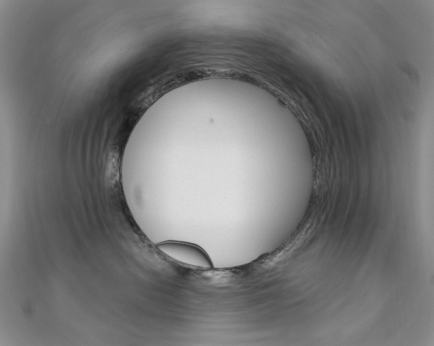 X0000110680478200906121039