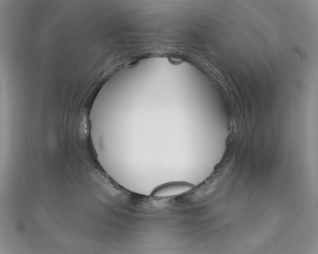 X0000110680479200906121039