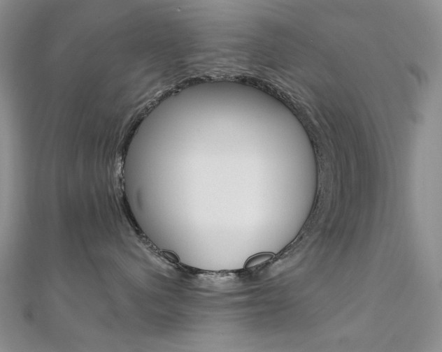X0000110680480200906121039