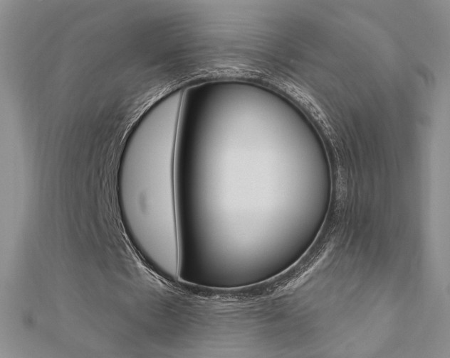X0000110680481200906121038