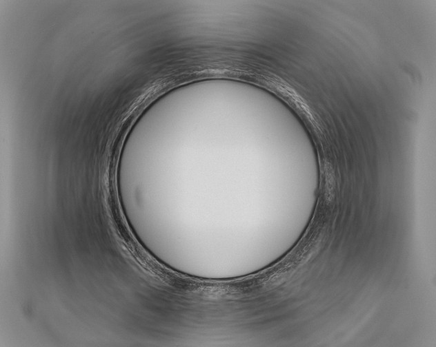 X0000110680482200906121038