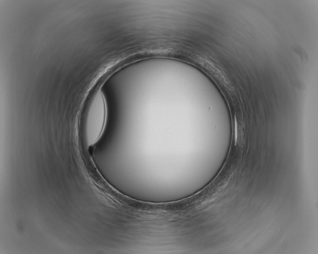 X0000110680483200906121038