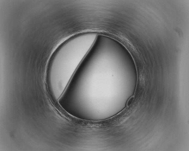 X0000110680484200906121038