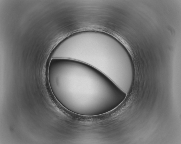 X0000110680485200906121038