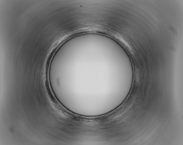 X0000110680486200906121038