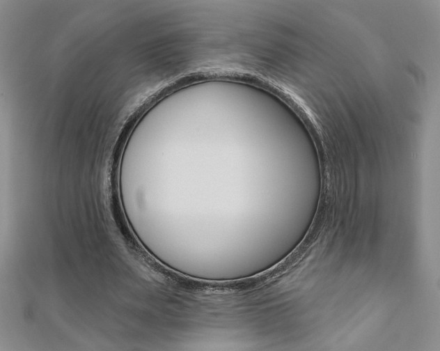 X0000110680487200906121038