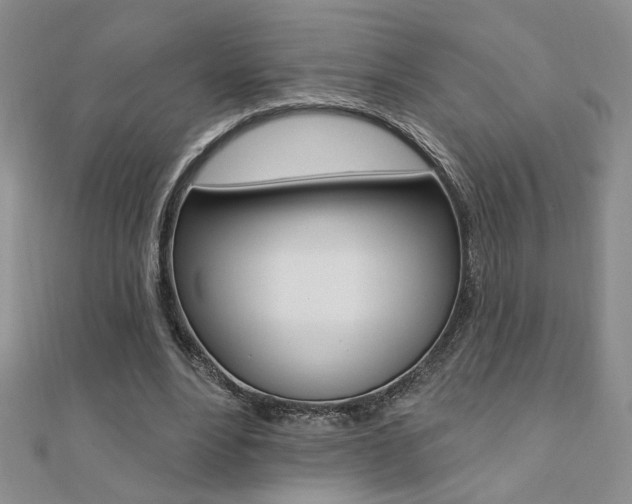 X0000110680488200906121038
