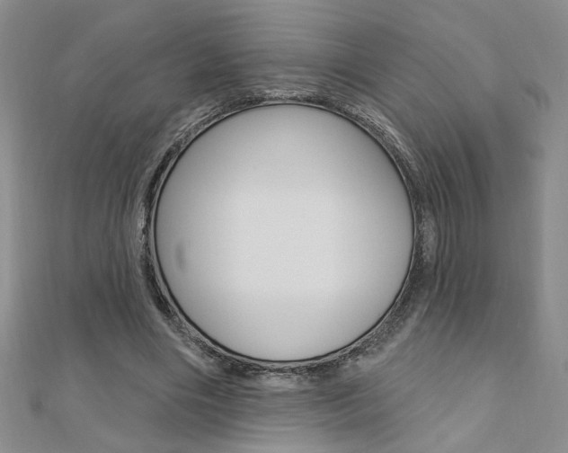 X0000110680490200906121038
