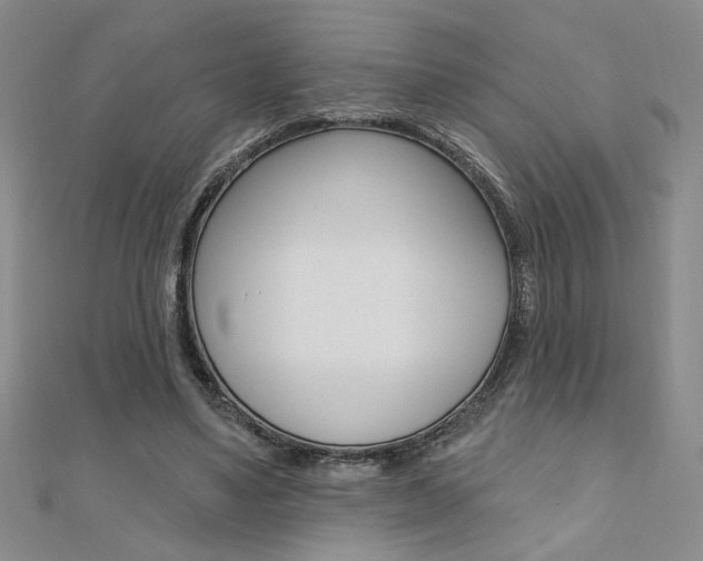 X0000110680491200906121038