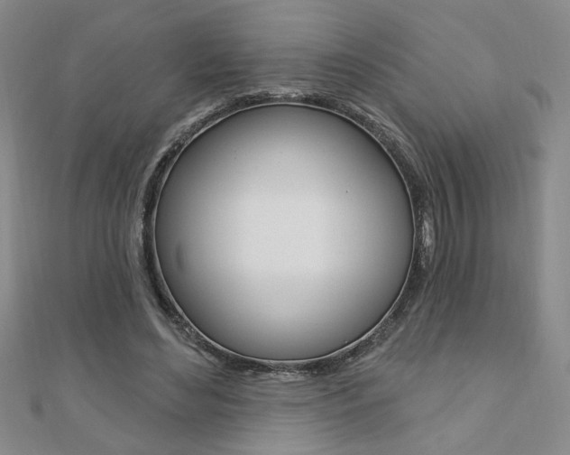 X0000110680492200906121038
