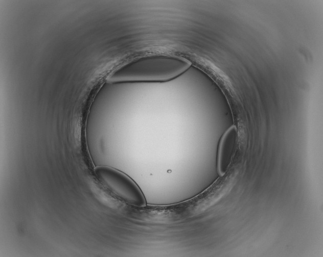 X0000110680493200906121038