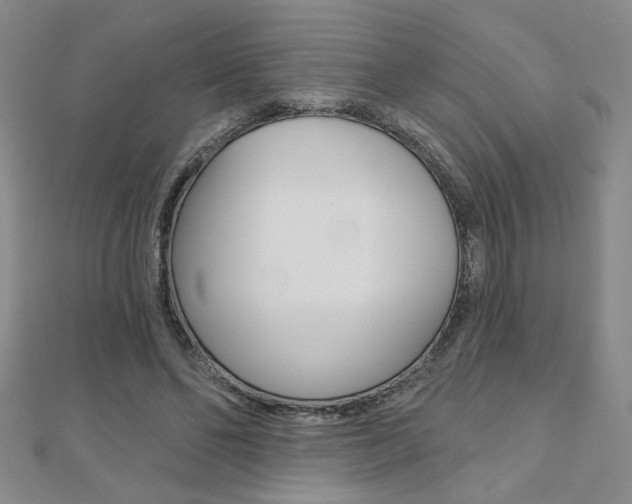 X0000110680494200906121038