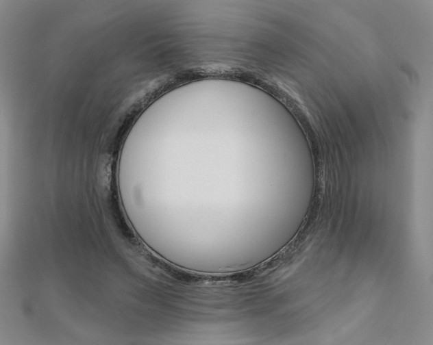 X0000110680495200906121038