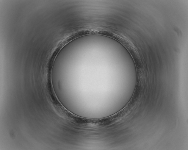 X0000110680496200906121038