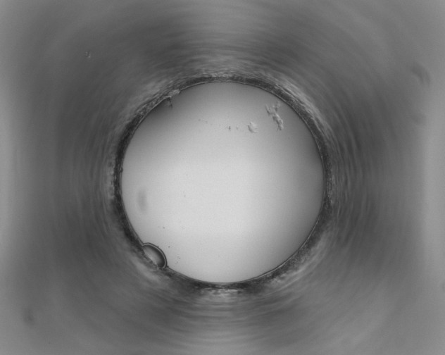 X0000110680497200906121038