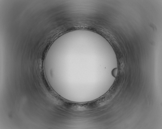X0000110680498200906121038