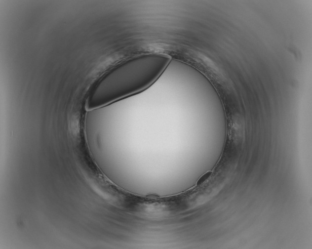 X0000110680500200906121038
