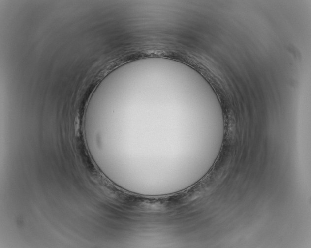 X0000110680502200906121038