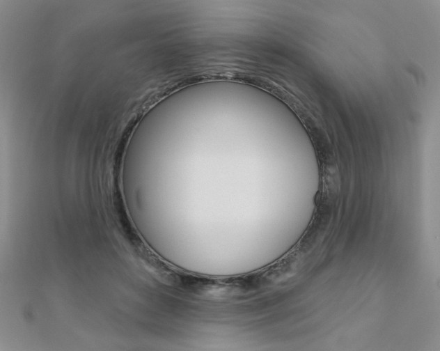 X0000110680504200906121038