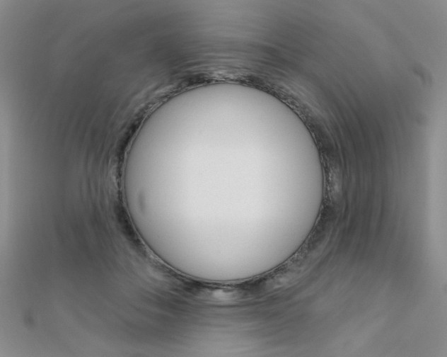X0000110680506200906121038