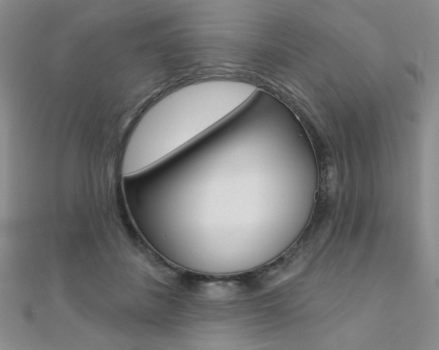 X0000110680508200906121038