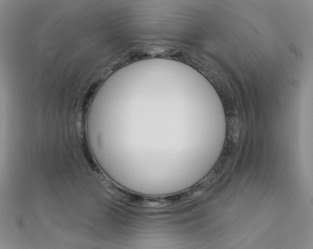 X0000110680510200906121038